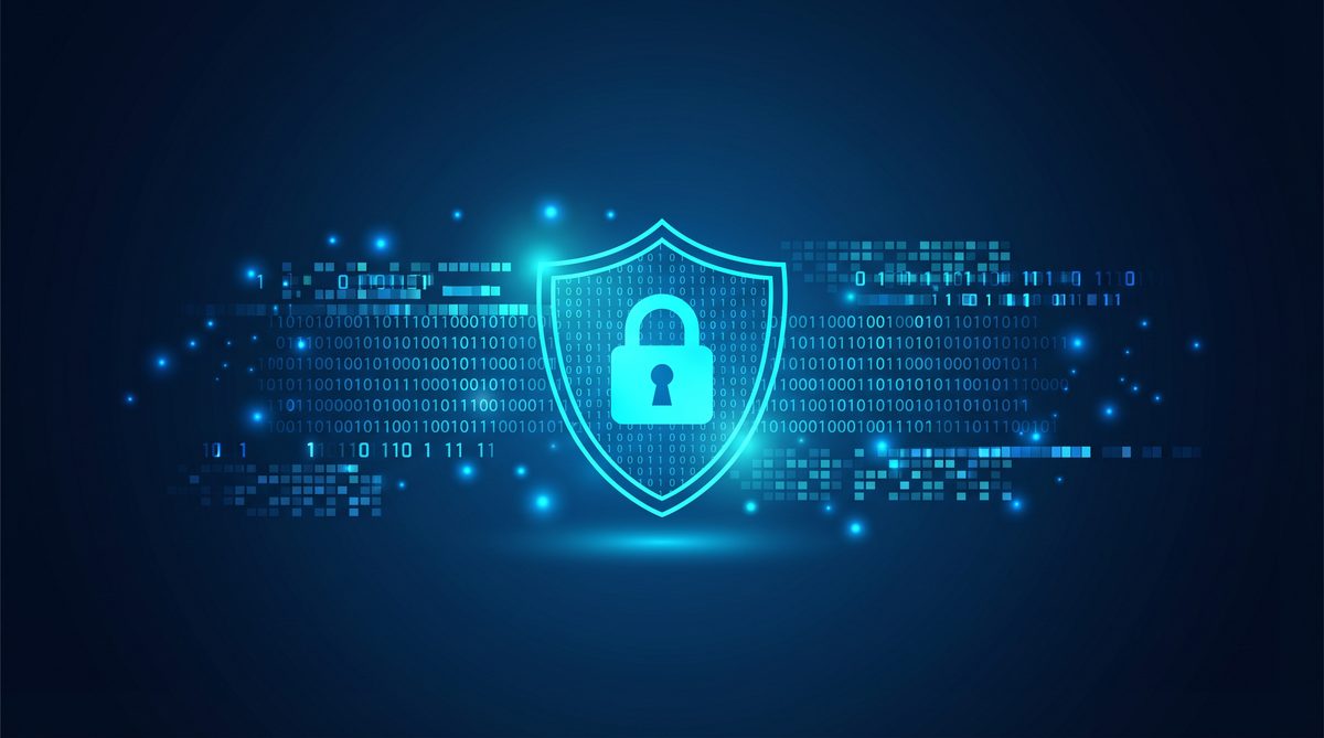 毛子加速器隐私安全保护